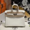 Birkin25 0T Swift