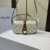 Ce-line bag size 1885cm(2)