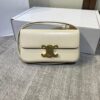 Ce-line bag size 20104cm
