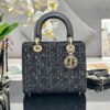 D-io-r bag size 24*20*11cm