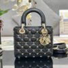 Dio-or bag size 20-17-8cm
