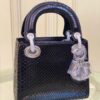 mini 17cm Dior