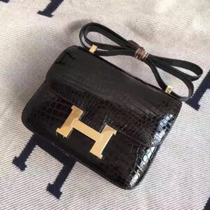 TOP Crocodile shiny nilo SIZE19CM and 24cmH BAG(10)