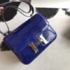 TOP Crocodile shiny nilo SIZE19CM and 24cmH BAG(12)