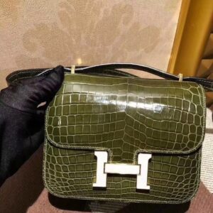 TOP Crocodile shiny nilo SIZE19CM and 24cmH BAG(13)