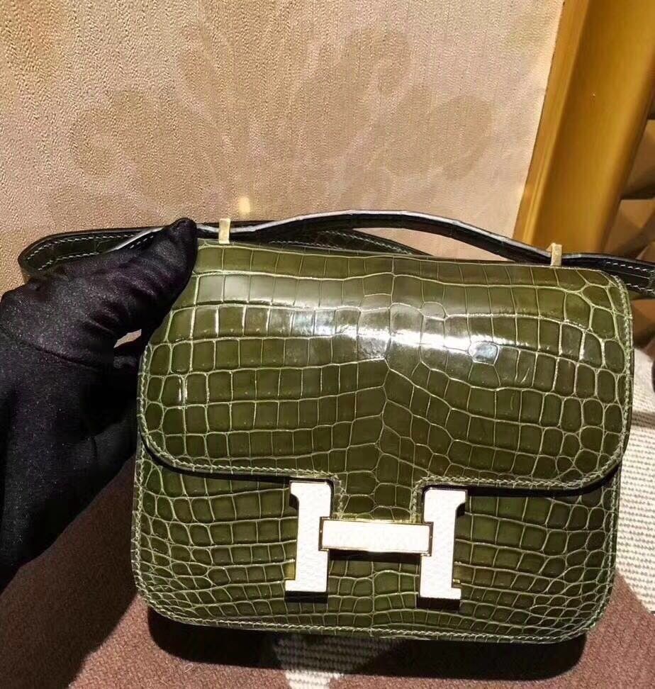 TOP Crocodile shiny nilo SIZE19CM and 24cmH BAG(13)