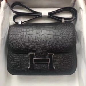 TOP Crocodile shiny nilo SIZE19CM and 24cmH BAG(2)
