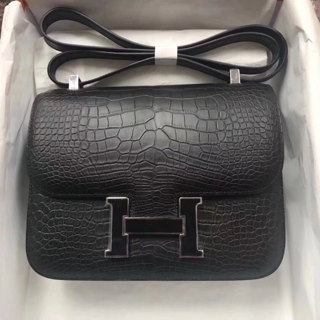 TOP Crocodile shiny nilo SIZE19CM and 24cmH BAG(2)