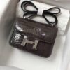 TOP Crocodile shiny nilo SIZE19CM and 24cmH BAG(8)