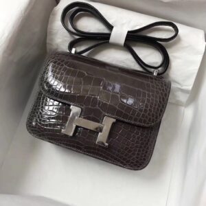 TOP Crocodile shiny nilo SIZE19CM and 24cmH BAG(8)