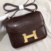 TOP Crocodile shiny nilo SIZE19CM and 24cmH BAG(9)