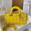 Top quality di-or bag size 26*13.5*5cm