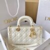 Top quality di-or bag size 26*13.5*5cm